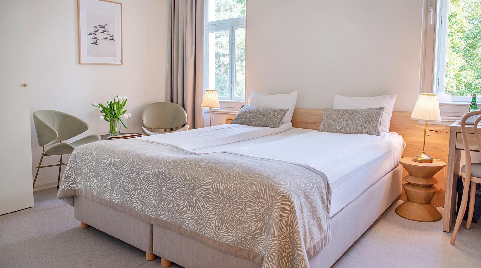Deluxe Double or Twin Room