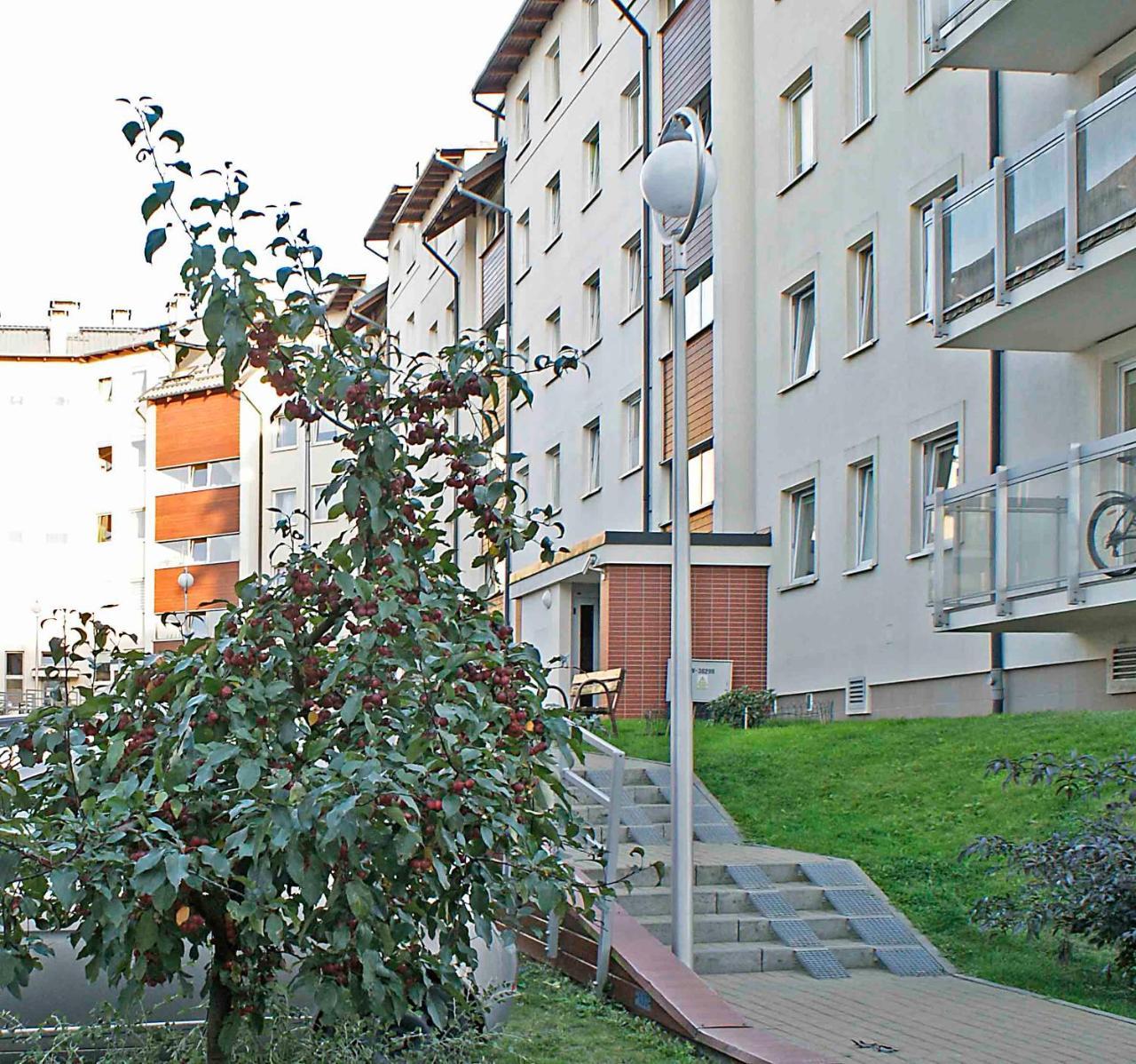 One-Bedroom Apartment