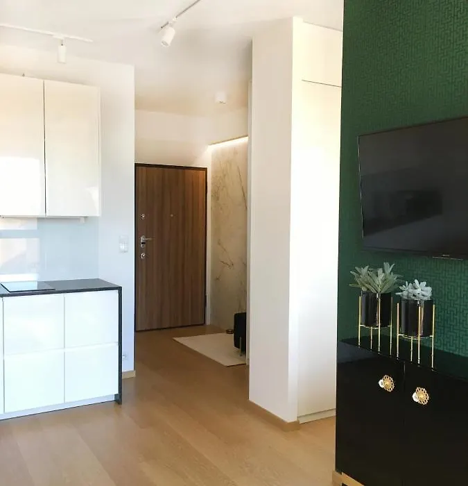 Green Apartment Gdańsk z GARAŻEM-1