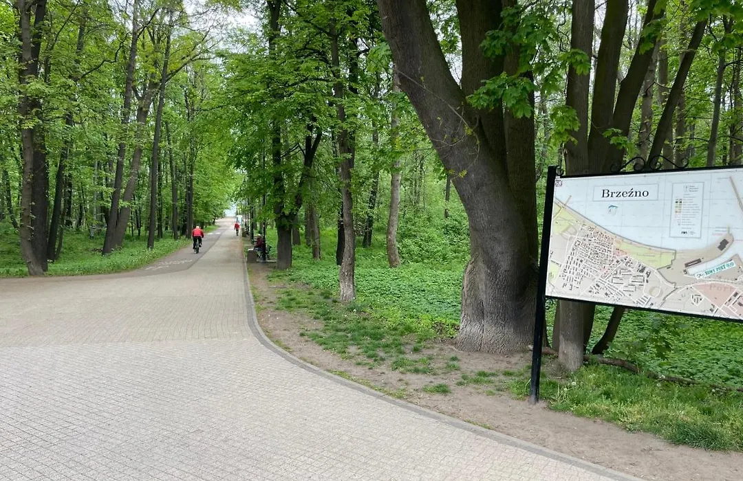 Sun&Sand11 - niedaleko plaży, parking w cenie-1