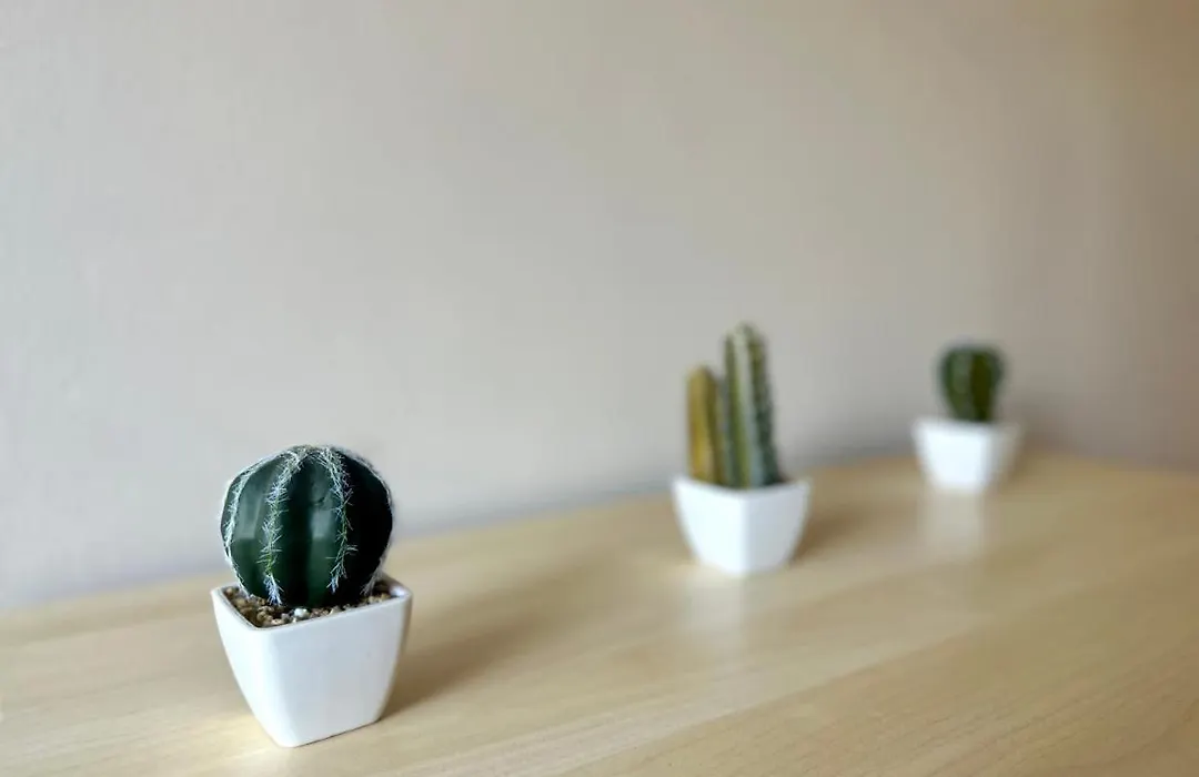 Mmrent Desert Room-1