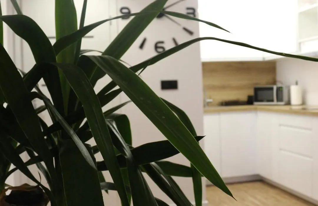 Sunset Apartament-1