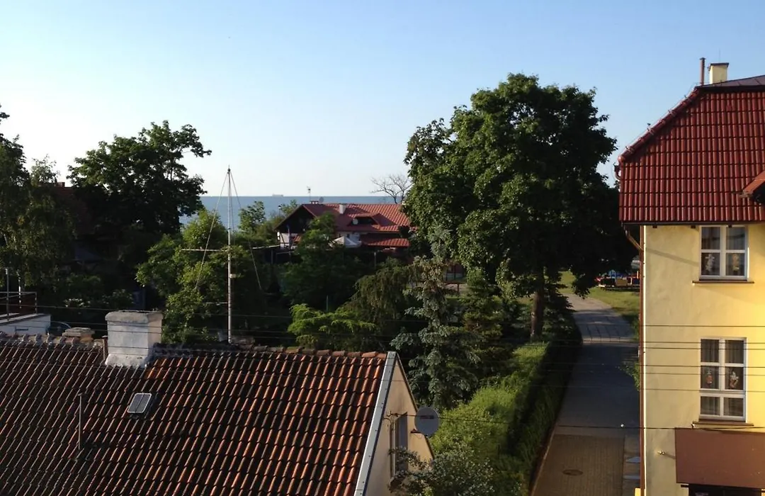 Amber House-1
