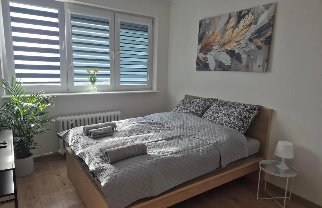 Paradise Under Heaven Apartment-1