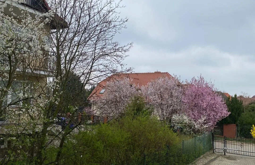 gdańsk owczarnia-1