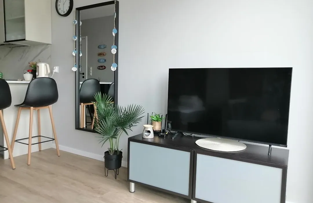 Silver Studio Riverside Mostek 4 Gdansk-1