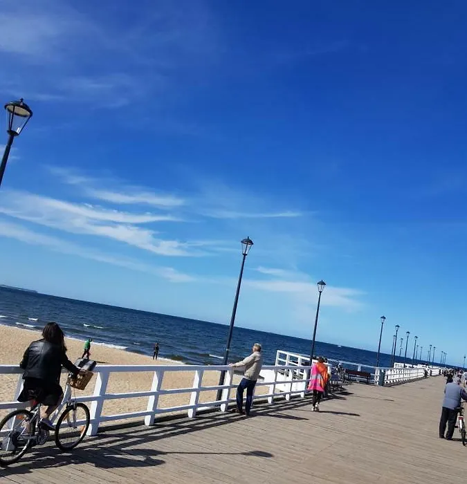Sychta Gdańsk Brzeźno blisko morza-1