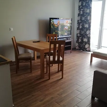 Komfortowy apartament dla turystów i pracowników-2