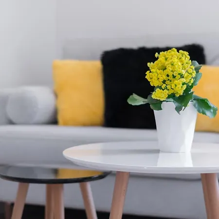 Rajska Apartament- Gdańsk-2