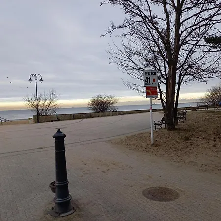 Brzezno Plaza-3
