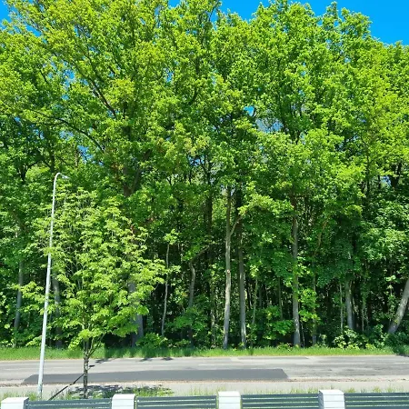 M&K Apartament Baltyk - Sobieszewo - Wyspa Sobieszewska-3