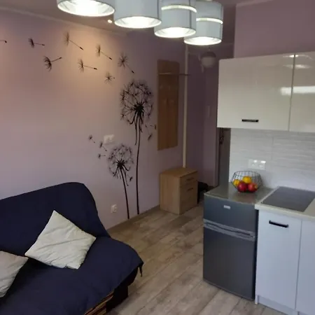 Mieszkanie 16M2 Gdansk Orunia-2