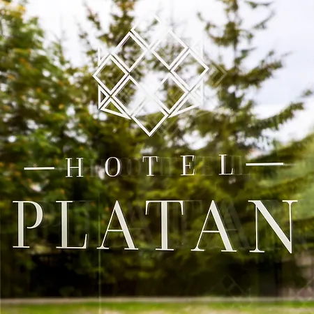 Hotel Platan-2