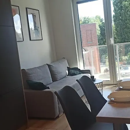 Apartament Nowa Stocznia-2