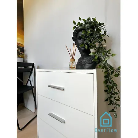 Zupka Room-3