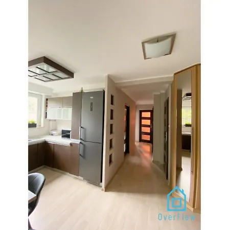 Zupka Room-2