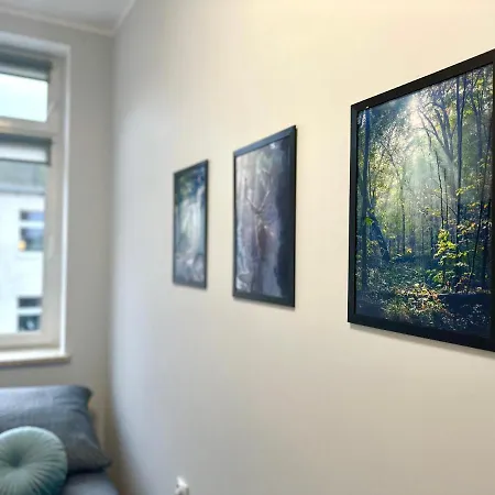 Mmrent Forest Room-3