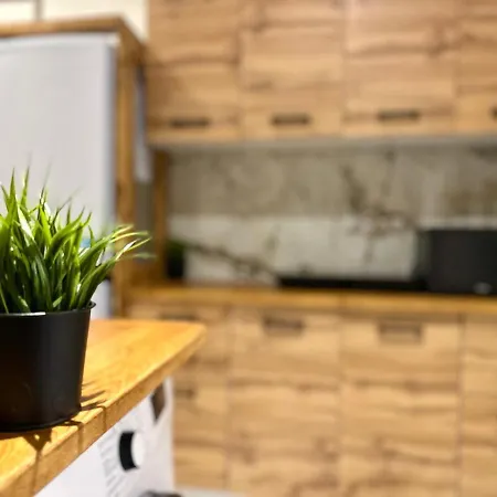 Mmrent Forest Room-2