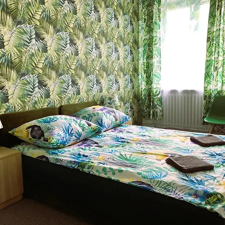 Jungle Rooms-3