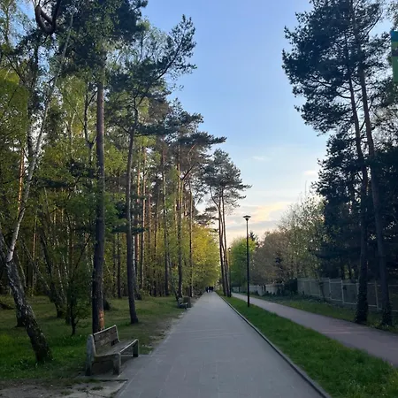 Exclusive Baltic Apartment - Forest And Park Views By Polandbnb-2