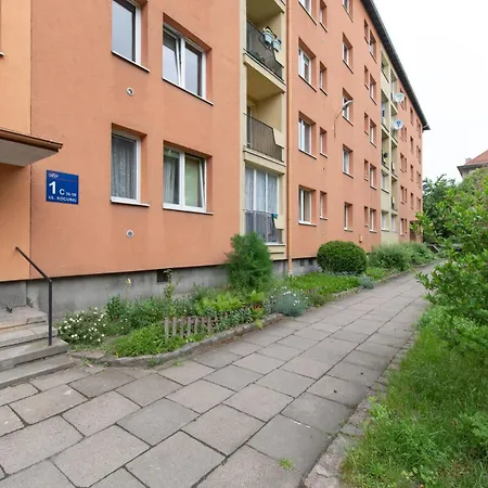 Venti Kocurki Gdańsk-3