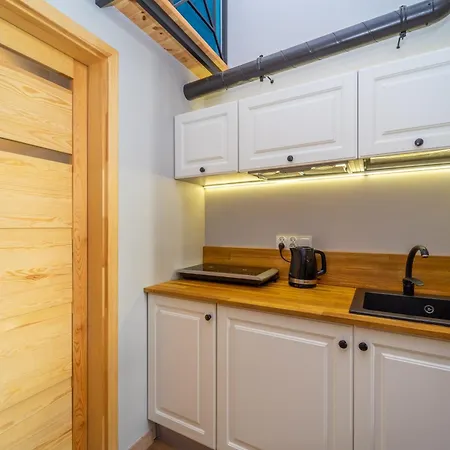 Mini Loft W Starym Browarze-3