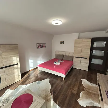 Gdańskie Apartamenty - Apartamenty na Świetego Ducha z 2 sypialniami-3
