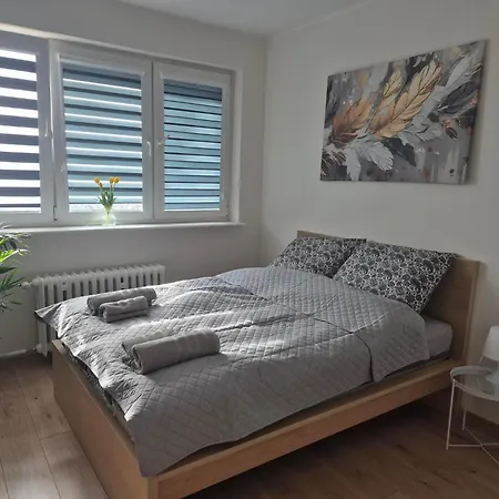 Paradise Under Heaven Apartment-3