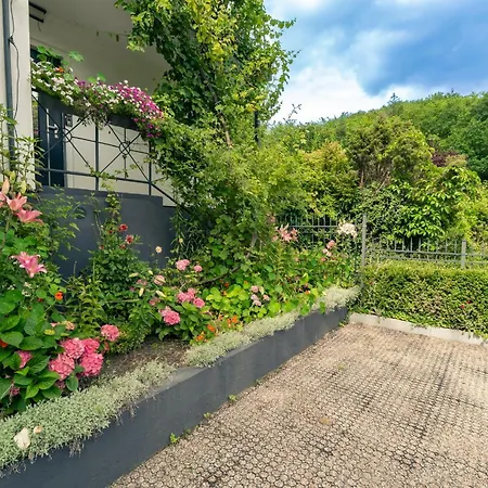 Lesny Zakatek-3