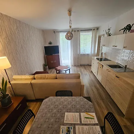 Apartament Góralska-3