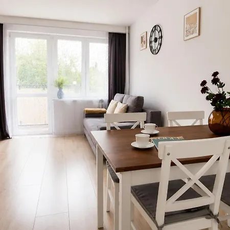 Albatros Apartment Stogi-2