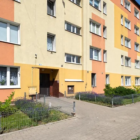 Elite Apartments Brzezno Seaside-3
