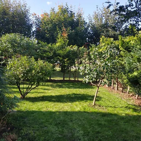 Przytulna kawalerka z ogrodem-2