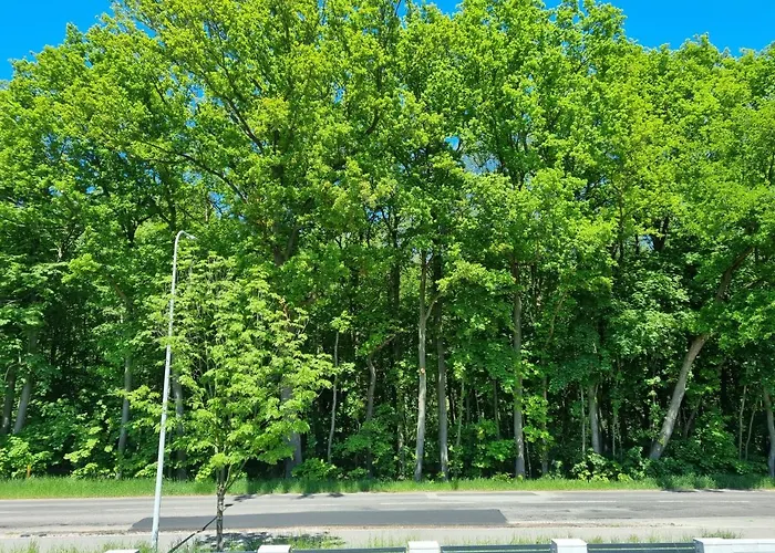 M&K Apartament Bałtyk - Sobieszewo - Wyspa Sobieszewska