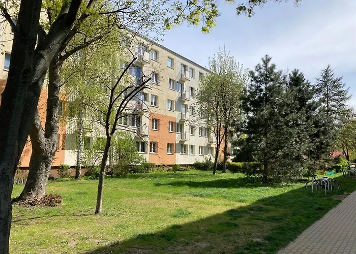 Ergo Arena