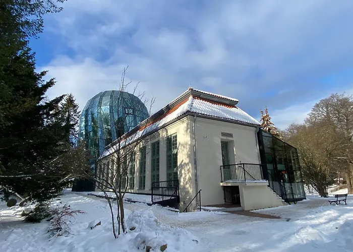 Apartament Oliwski Las