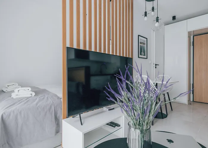 Central II Apartment Gdańsk