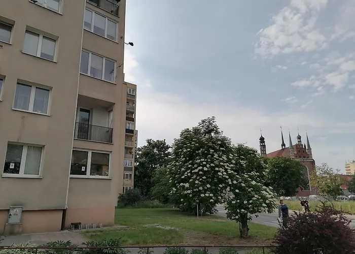 Toruńska