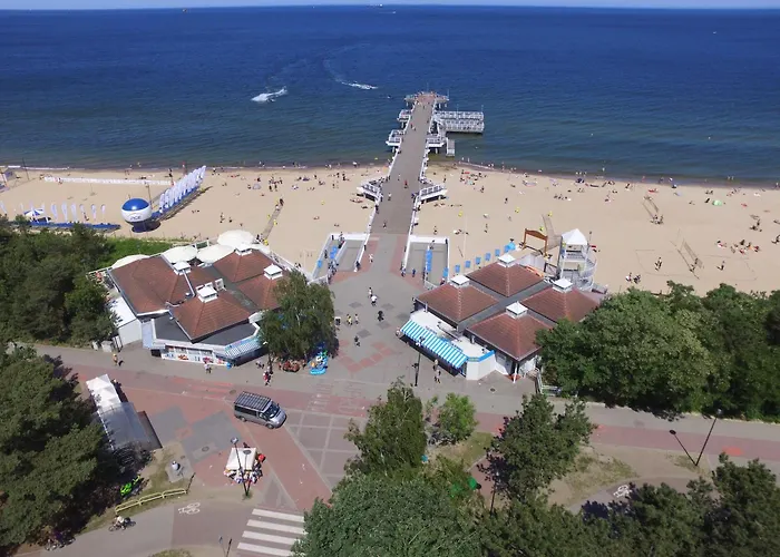 Medusa 300 Metrów Od Plaży