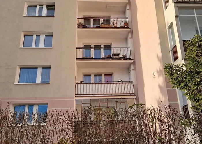 Apartament Broniewskiego 6