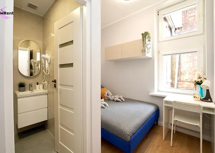 Mmrent Kitty Cat Room