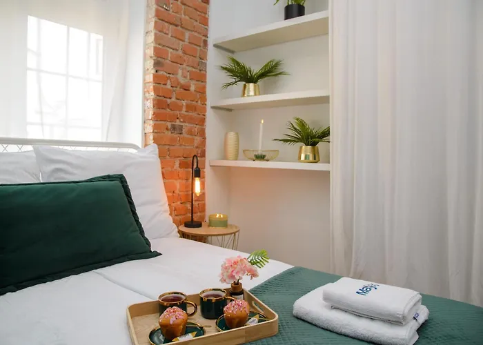 Maya's Flats 36 - Chlebnicka St in Old Town Gdańsk