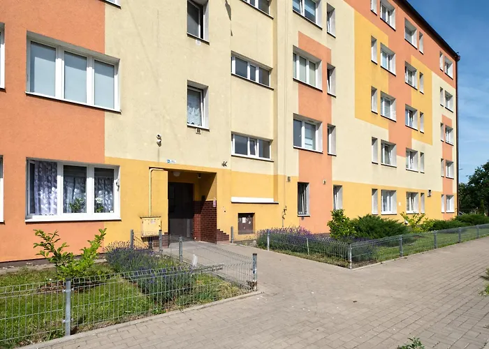 Elite s Brzeźno Seaside