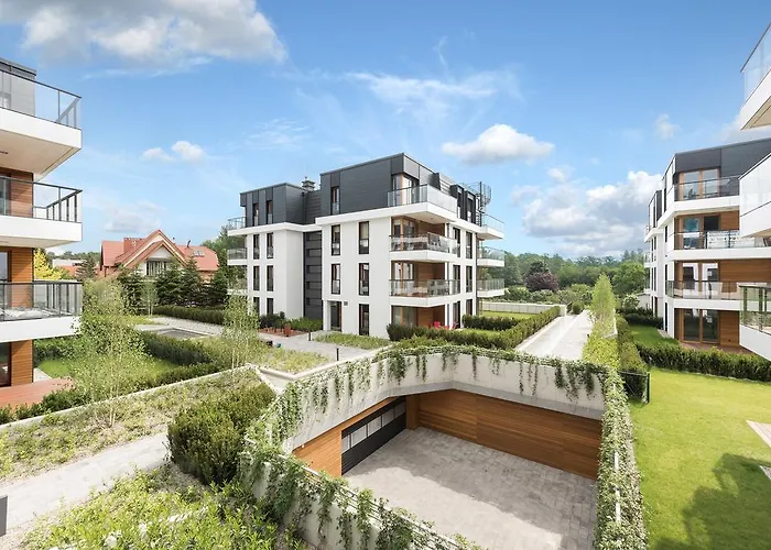Comfort s Bursztynowa