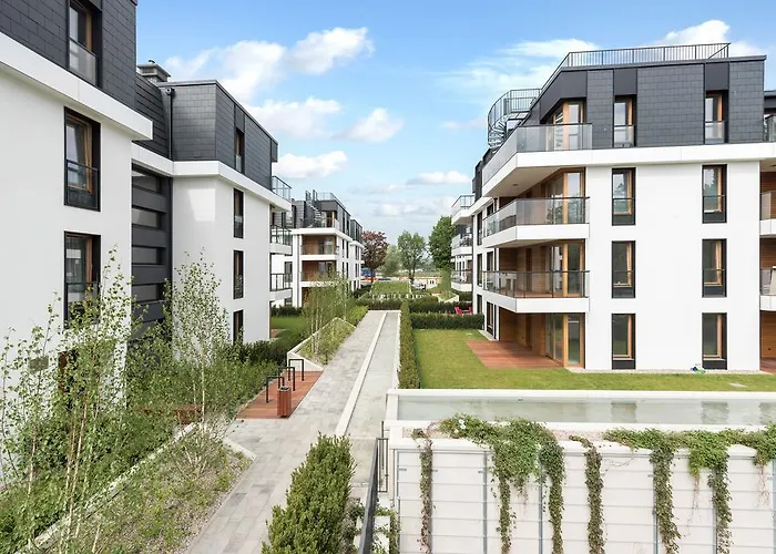 Comfort s Bursztynowa